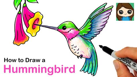 How to Draw a Hummingbird for Kids printable step by step