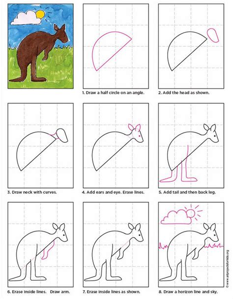 how to draw kangaroo step by step YouTube