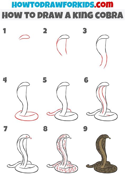 How To Draw A King Cobra Easy
