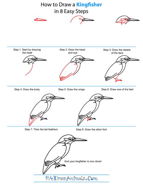 How to draw a Kingfisher step by step Part 2 Easy