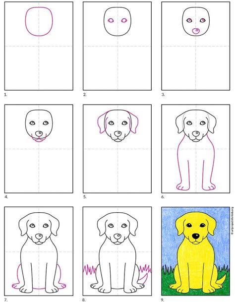 How To Draw A Labrador An Easy, StepByStep Guide in