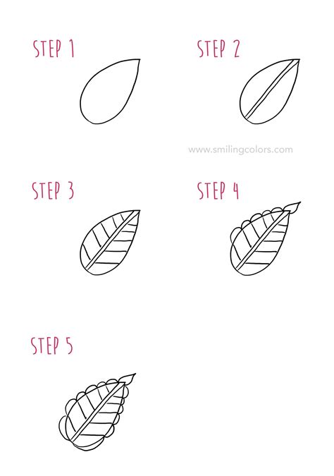 Leaf drawing step by step Tutorial, 10 easy doodle ideas