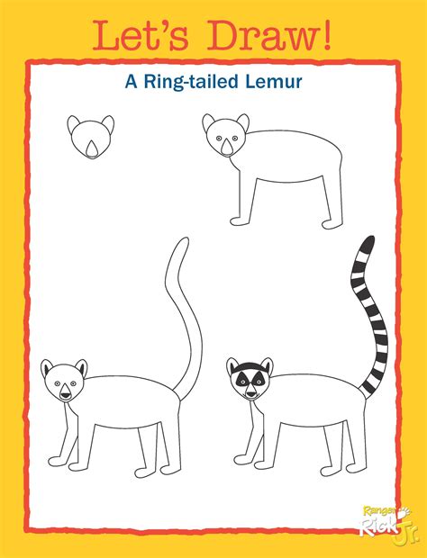 How to Draw a Lemur for Kids Step by Step very easy