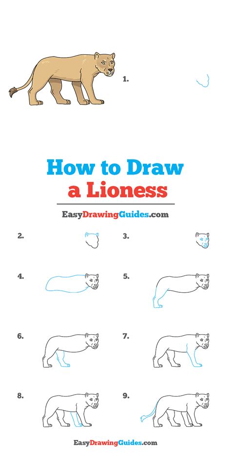 How to Draw Queen Elsa Step by Step Easy Drawing Guides