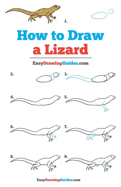 How To Draw A Lizard
