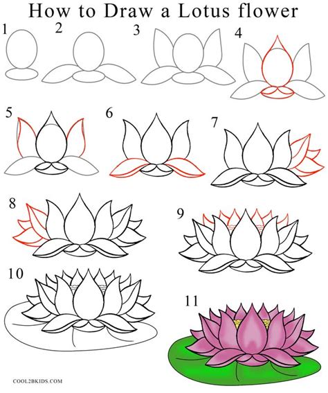 Lotus Flower Drawing Step By Step at