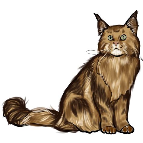 How to draw the Maine Coon cat Sketchok easy drawing guides