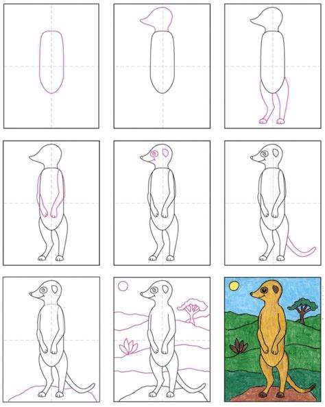 Learn How to Draw a Meerkat Face for Kids (Animal Faces