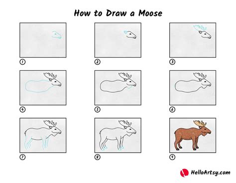 How to Draw a Cute Moose in 6 Steps Learn To Draw