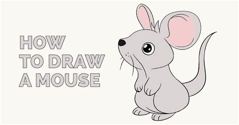 How to Draw a Cute Mouse In Six Steps Learn To Draw