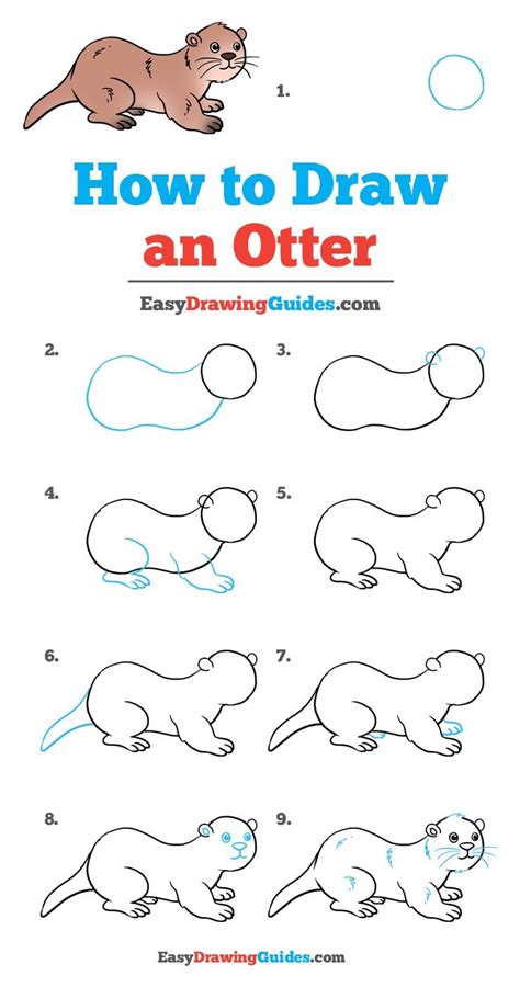 How to draw a cute otter in 6 steps