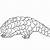 how to draw a pangolin step by step