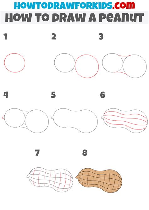 How to Draw a Peanut Drawings, Easy drawings, Step by