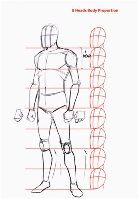 30+ How to Draw Body Shapes Step by Step 2020 HM ART in