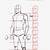 how to draw a person full body
