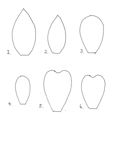 How to Draw a Rose Petal 6 Steps (with Pictures) wikiHow