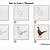 how to draw a pheasant step by step