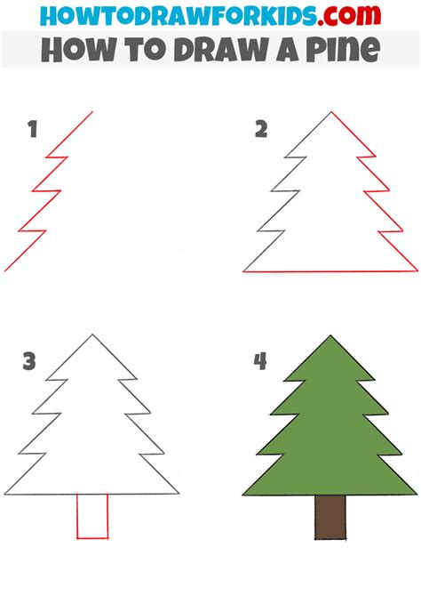 How to Draw a Pine Tree Step by Step EasyLineDrawing