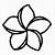 how to draw a plumeria