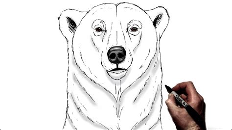 Polar Bear Art Projects for Kids