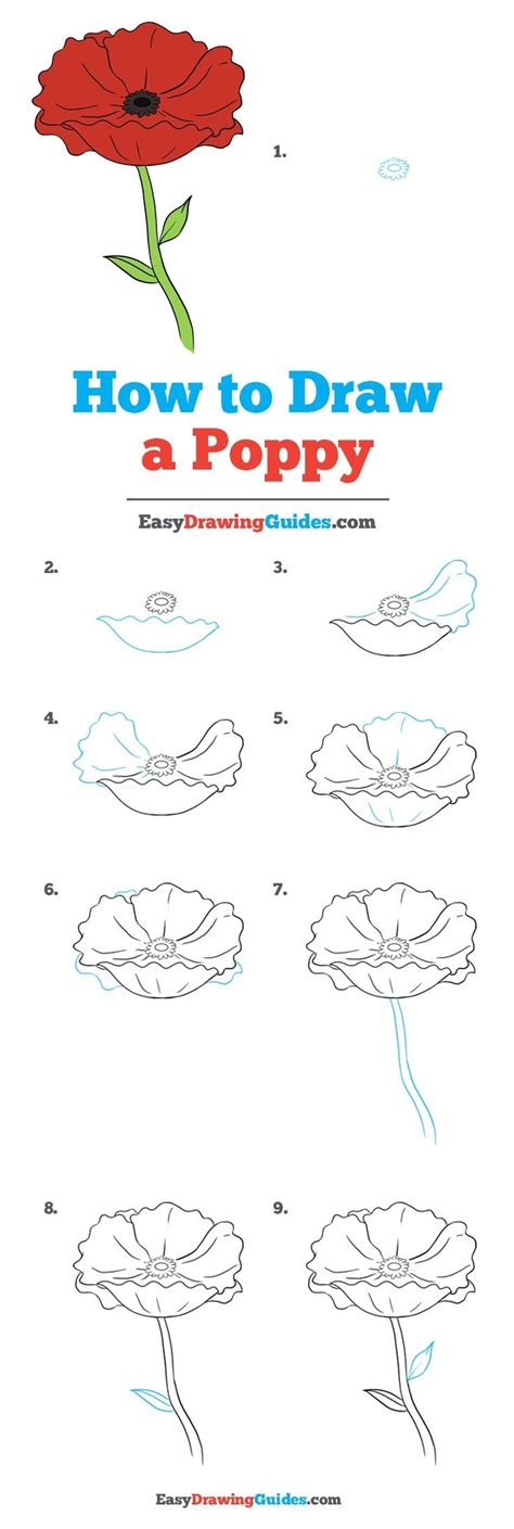 How to draw a Good Enough poppy