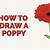 how to draw a poppy step by step for beginners