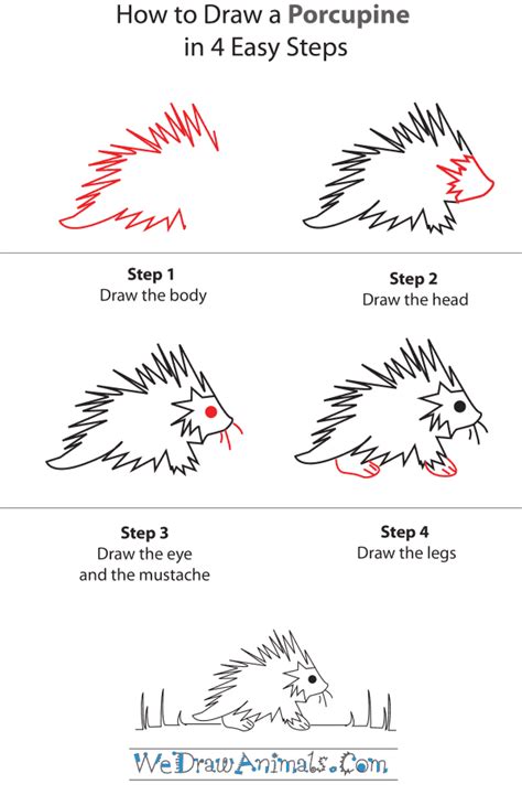 How To Draw A Porcupine StepbyStep Tutorial