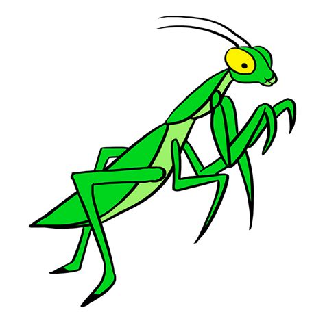 16 best Preying Mantis Stencils & Drawings... images on