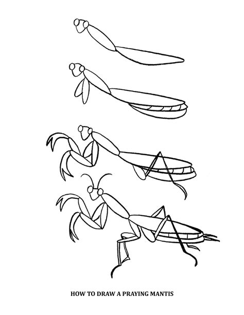 How to Draw a Praying Mantis for Kids Cute Easy Drawings