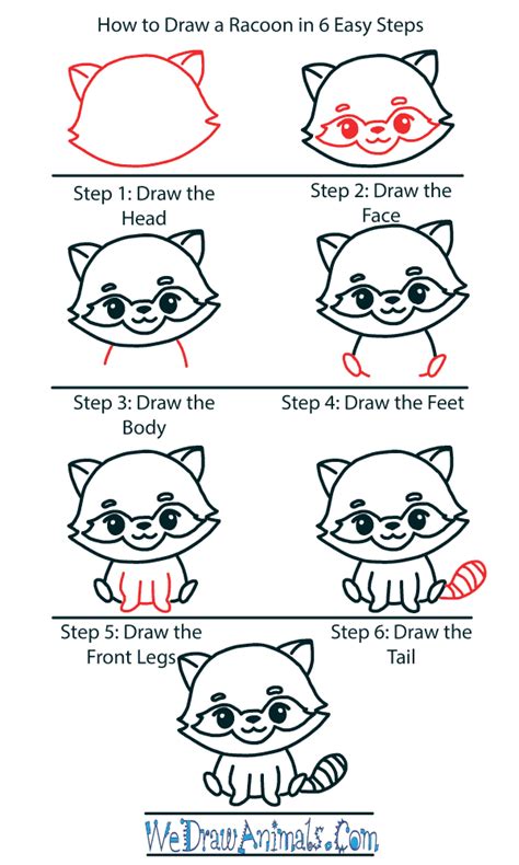 Draw a Raccoon Head Art Projects for Kids
