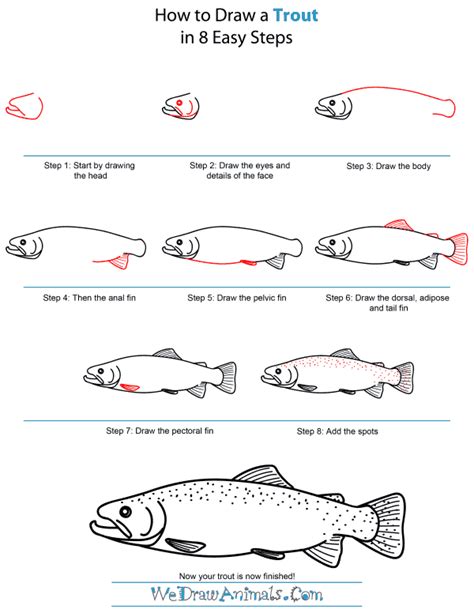 Drawing a Trout YouTube