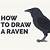 how to draw a raven easy step by step