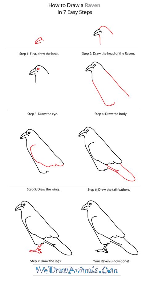 How to Draw a Raven