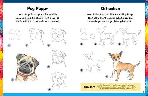 How to Draw a Puppy Easy Step by Step Realistic