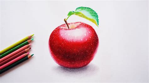 How to draw a realistic apple?step by step easy process.