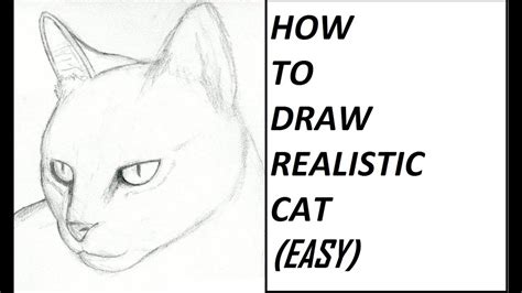 How to draw a cat step by step 10 drawing tutorials for