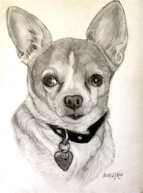 How To Draw A Realistic Chihuahua Step By Step