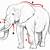 how to draw a realistic elephant step by step