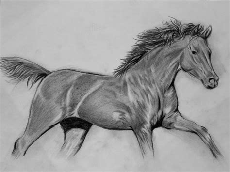 Horse Commission by NutLu Realistic animal drawings