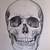 how to draw a realistic human skull