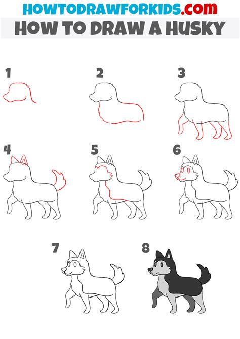 How to Draw a Husky Really Easy Drawing Tutorial