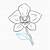 how to draw a realistic orchid step by step
