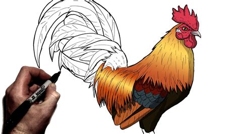 how to draw a chicken step 9 ChickenHouses Drawings