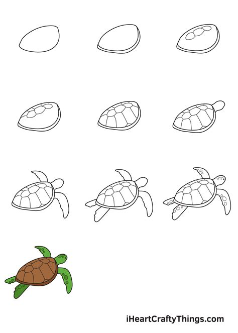Art For Kids Hub! — How To Draw A Realistic Sea Turtle...
