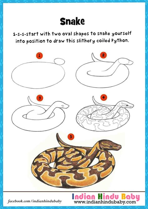 Cobra Snake Drawing at GetDrawings Free download