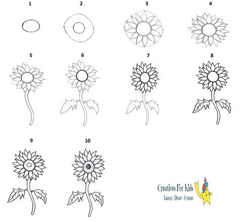 How to Draw a Sunflower printable step by step drawing