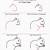how to draw a red squirrel step by step