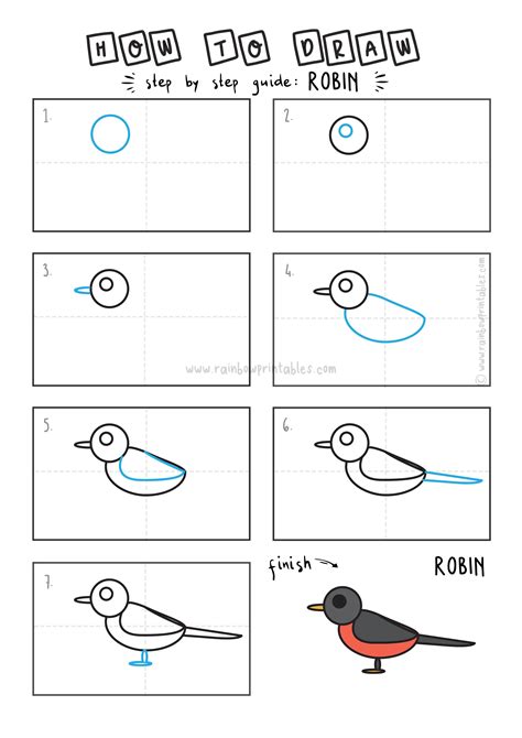 How to Draw Robin Bird for Kids printable step by step