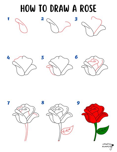 Drawings of roses How to draw simple roses step by step