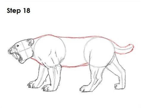 How To Draw A Saber Tooth Tiger by Dawn